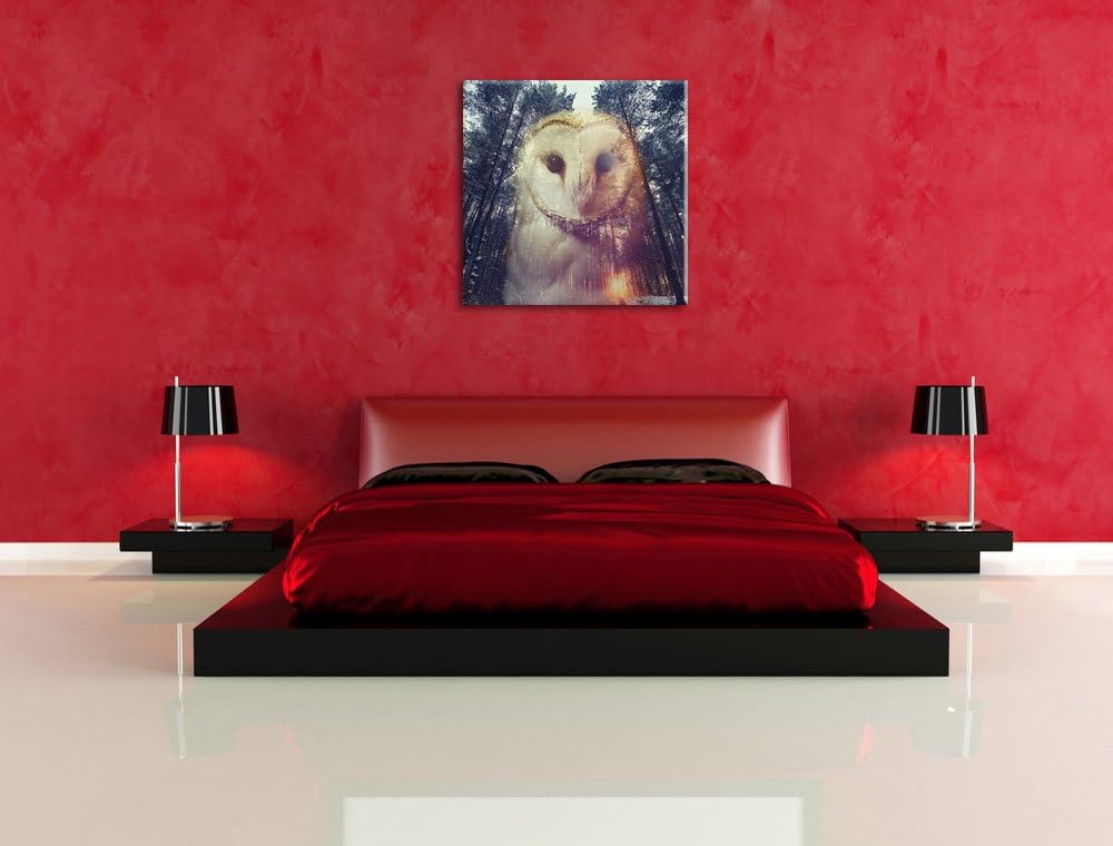 Pixxprint Portrait Einer Eule als Zeichen des Waldes, Format: 70x70 auf Leinwand, 70x70