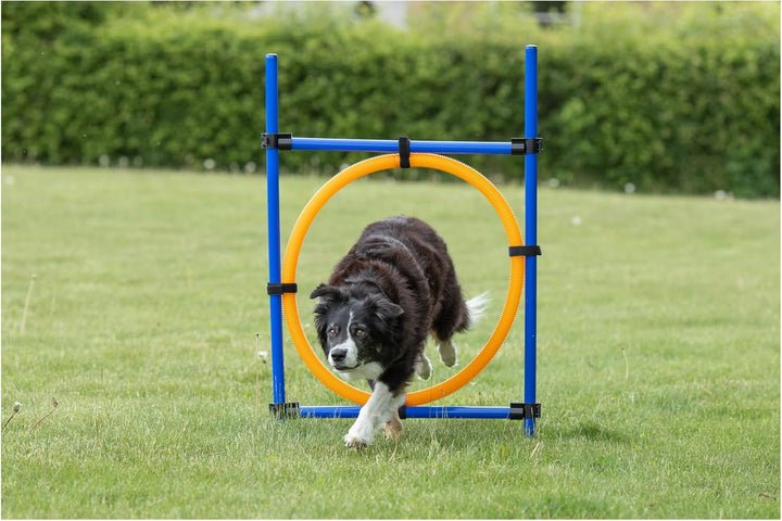 Trixie Agility Ring, 115×ø 3 cm, ø 65 cm