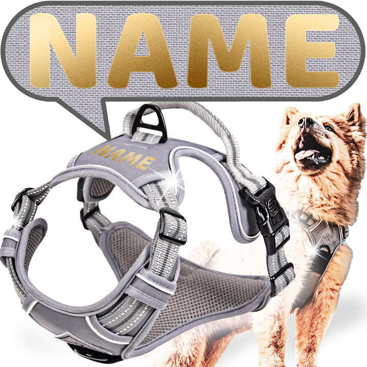 ne&no® Hundegeschirr PERSONALISIERT mit passenden Ruckdämpfer [Developed by NE&NO] Hunde Geschirrset