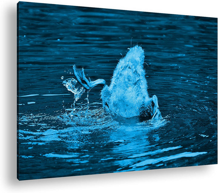 deyoli kleine Ente tauscht nach Fischen Format 80x60 Effekt: Monocrome Blau als Leinwandbild, Motiv