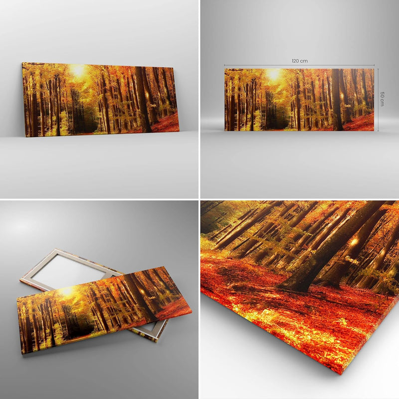 Wandbilder Dekoration Wohnzimmer Pfad Blätter Wald Panorama Bilder auf Leinwand 120x50cm Leinwandbil