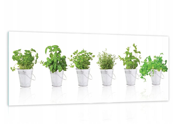 WallArena Glasbilder Küche 125x50 cm Kräuter Gewürze Modern Glasbild Wohnzimmer Schlafzimmer Bilder