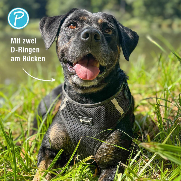 Petlando Hundegeschirr Mesh Vest, leichtes Brustgeschirr aus weichem Mesh & Nylon, stufenlos verstel