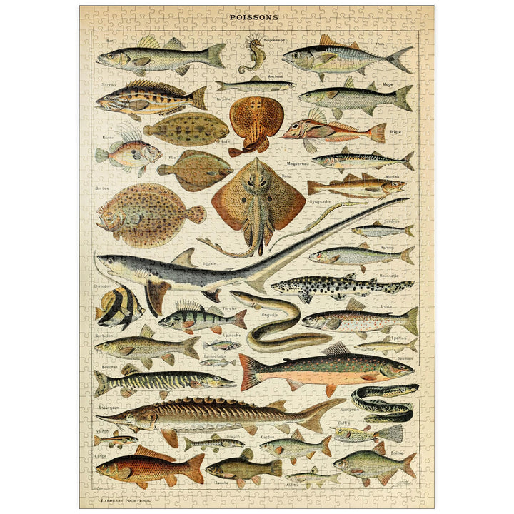 Fisch für alle, Vintage Art Poster, Adolphe Millot - Premium 1000 Teile Puzzle - MyPuzzle Sonderkoll