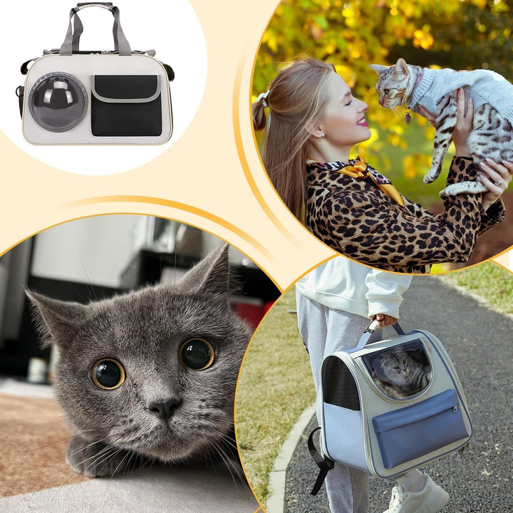Katzentransportbox - Mit Blasenfenster Für Junge Katzen | Stossfest &amp; Atmungsaktiv Für Flugzeug Auto