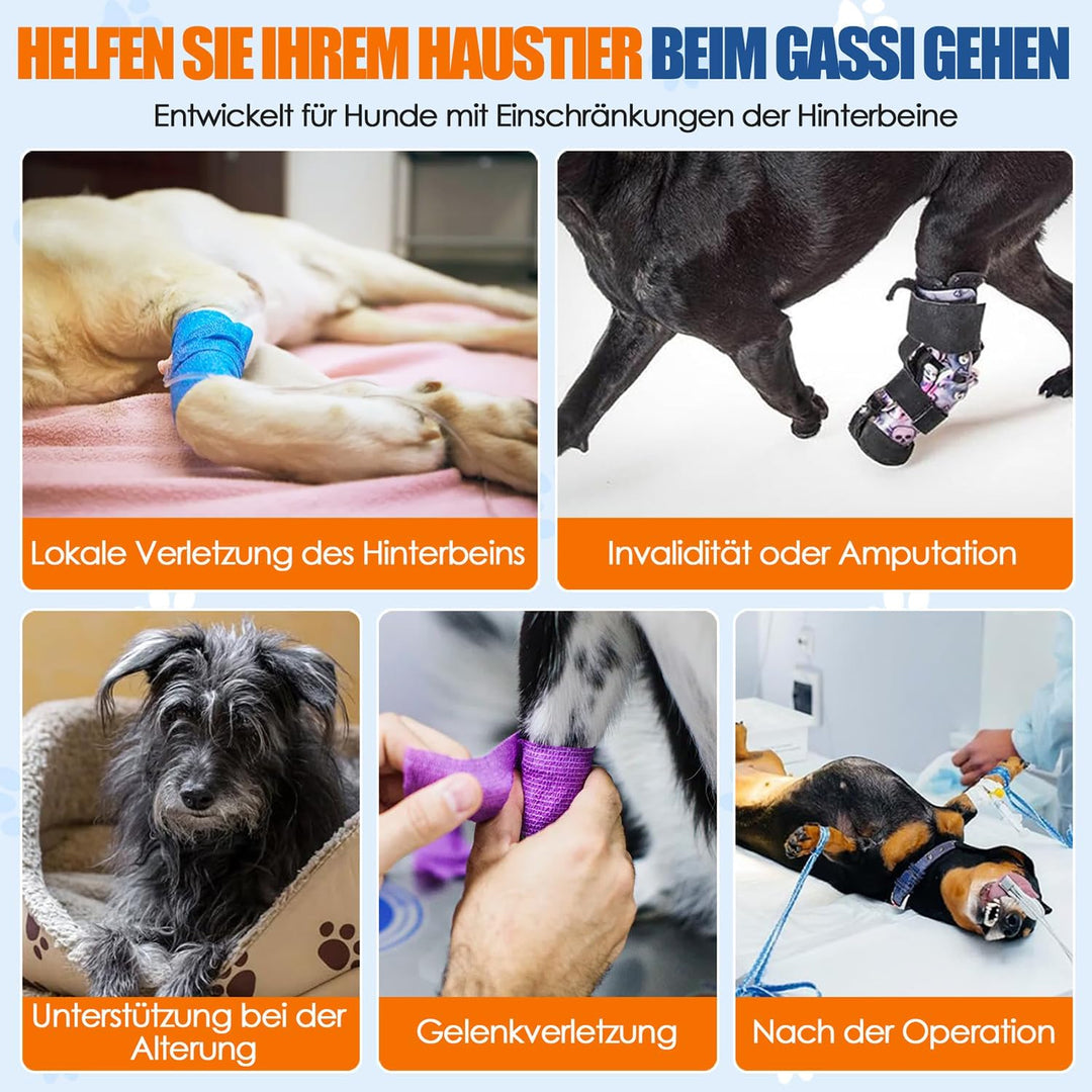 Tragehilfe für mittelgrosse grosse Hunde, Tragetasche Hund mit verstellbarem Hinterbein-Stützgurt fü