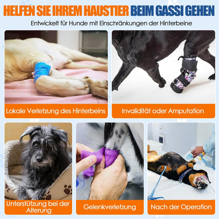 Tragehilfe für mittelgrosse grosse Hunde, Tragetasche Hund mit verstellbarem Hinterbein-Stützgurt fü