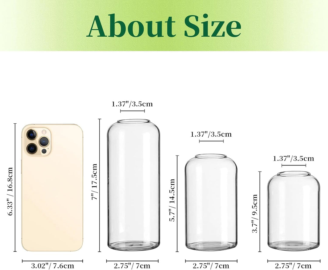 Hewory Kleine Vasen für Tischdeko: 6er Set Klar Vasen Deko Glaszylinder Vase Glas, Klein Glasvase Ru