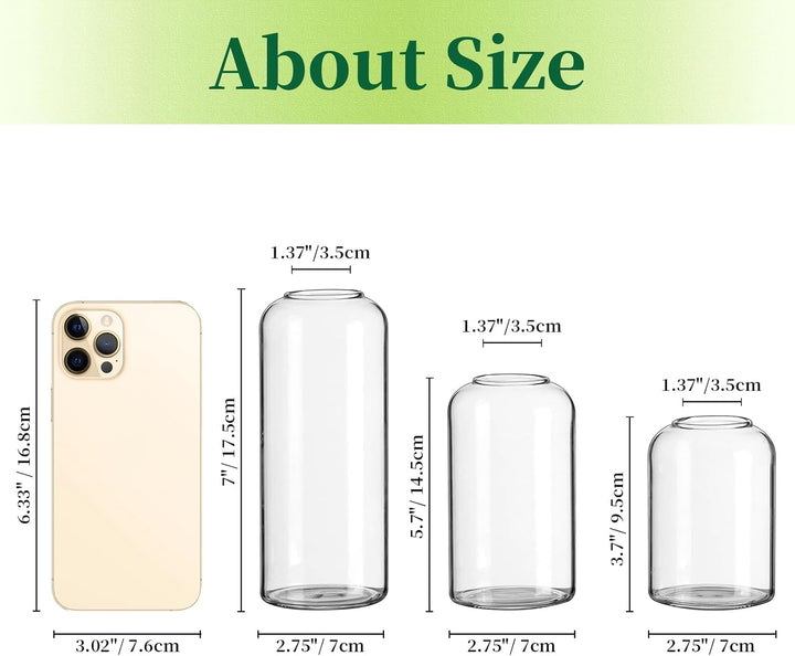 Hewory Kleine Vasen für Tischdeko: 6er Set Klar Vasen Deko Glaszylinder Vase Glas, Klein Glasvase Ru