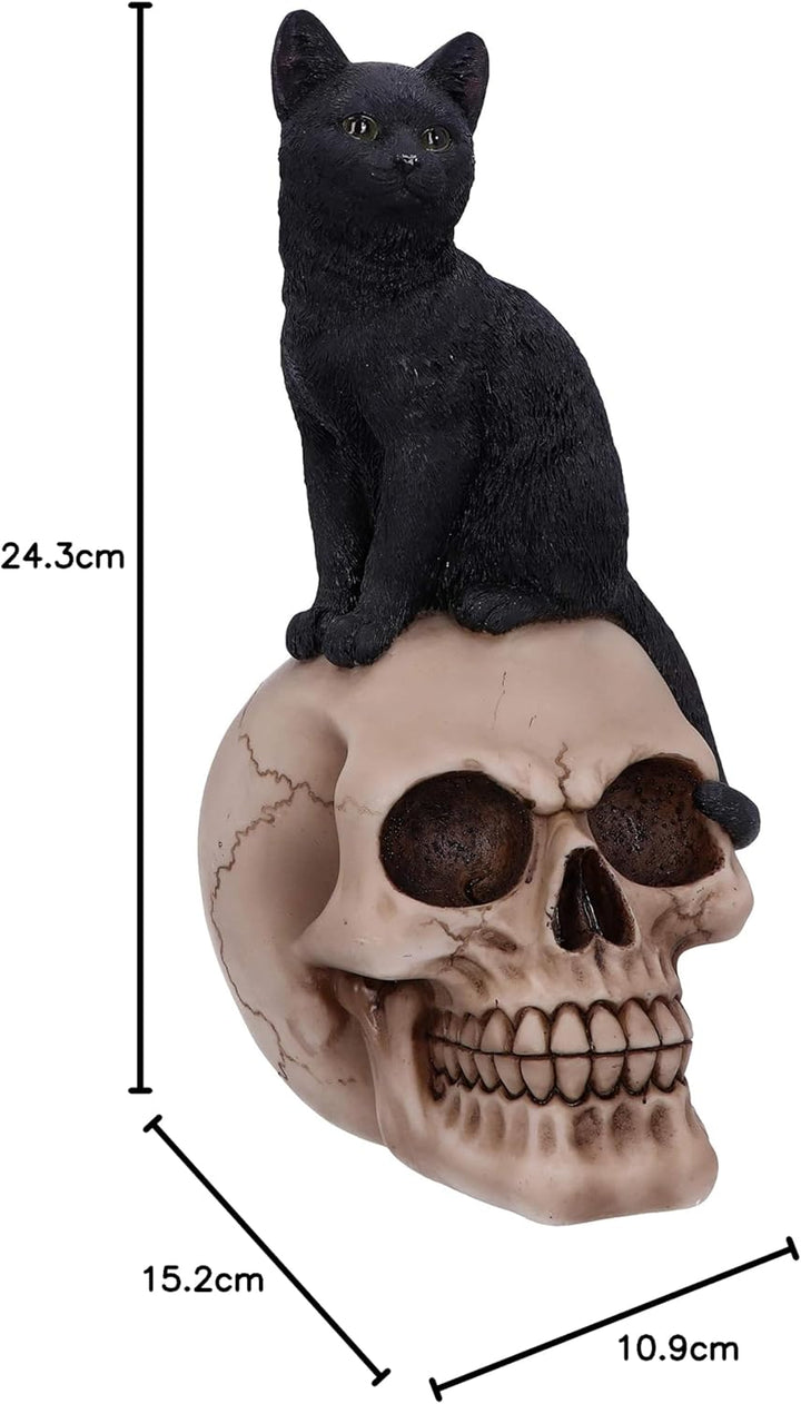 Nemesis Now Familiar Fate Dekofigur Hexen, Katze und Totenkopf, 24,3 cm