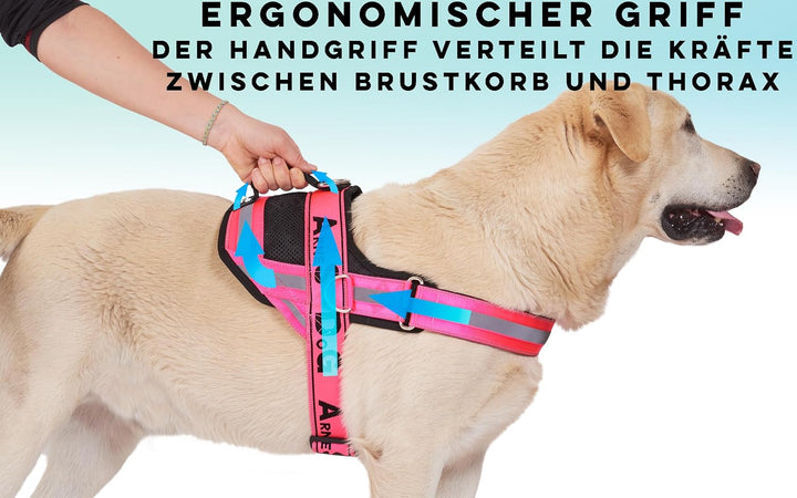 Hundegeschirr mit 3 Metallösen zur Befestigung Ihrer Brust oder Ihres Brustgurts, um Ihren Hals Nich