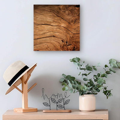 banjado® Grosser Schlüsselkasten Glas/Schlüsselbox 30cm x 30cm mit 50 Haken - Motiv Trockenes Holz/S