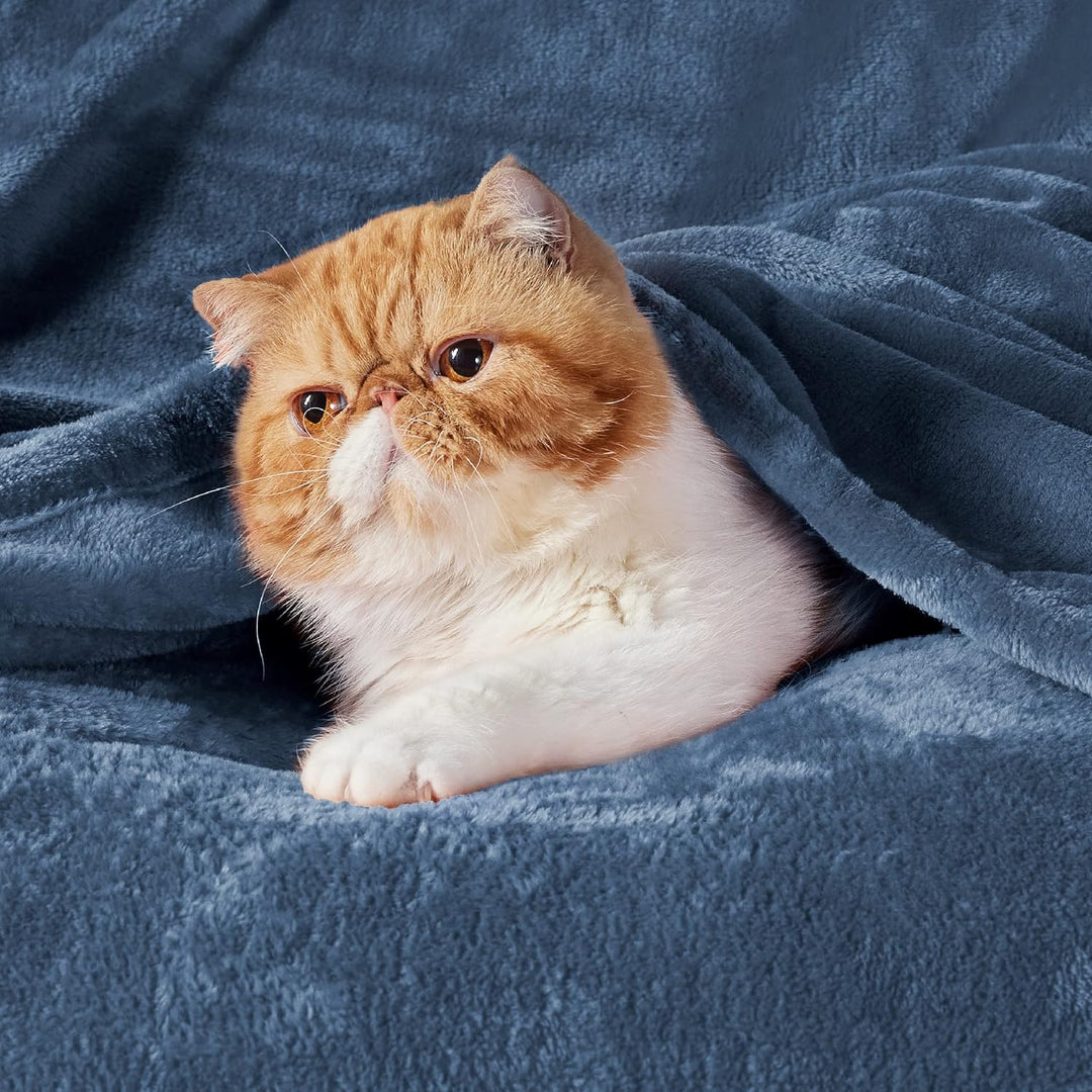 BEDSURE Kuscheldecke Flauschig Decke Fleecedecke - Wohndecke Warm Weich, Sofadecke Kleine, Decke Cou