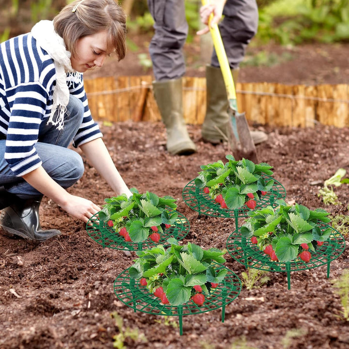 10 Stück Orbicular Erdbeerreifer,Erdbeerstützen Ständer,Schneckenschutz Erdbeerstützen,Schneckenschu