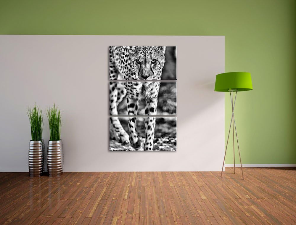 Pixxprint anpirschender Gepard als Leinwandbild/Grösse: 3 Teilig (120x80) cm/Wandbild/Kunstdruck/fer