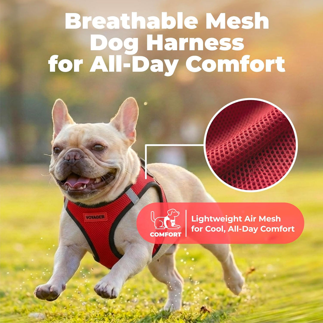Best Pet Supplies Voyager Step-In Air-Hundegeschirr – Allwetter-Mesh-Weste für kleine und mittelgros