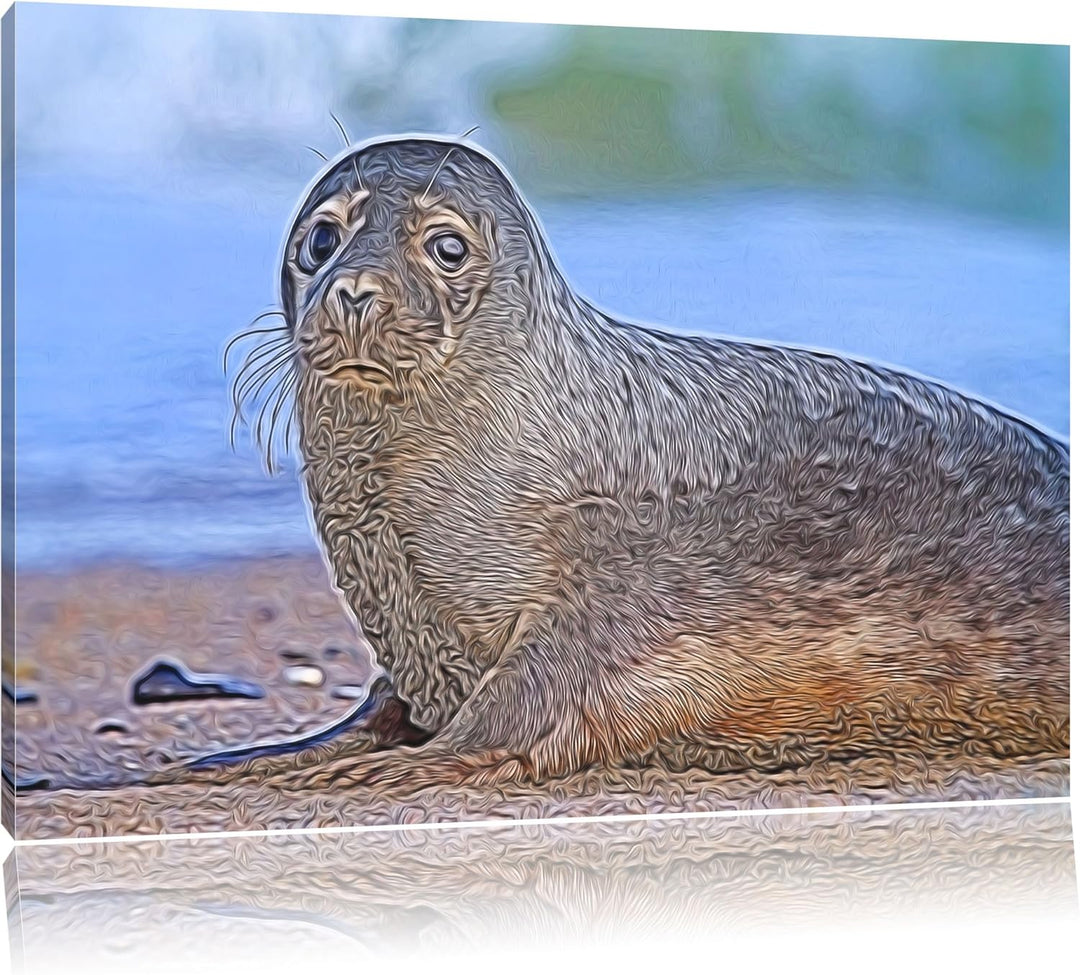 niedliche Robbe am Strand Spezial Format: 100x70 cm auf Leinwand, XXL riesige Bilder fertig gerahmt