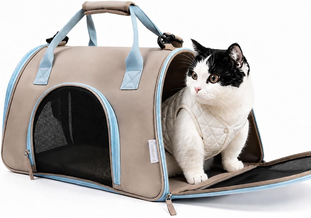 Katzentransportbox Hundetasche Kleine Hunde bis 6kg [Faltbar] Transportbox Katze Welpen Hundebox mit