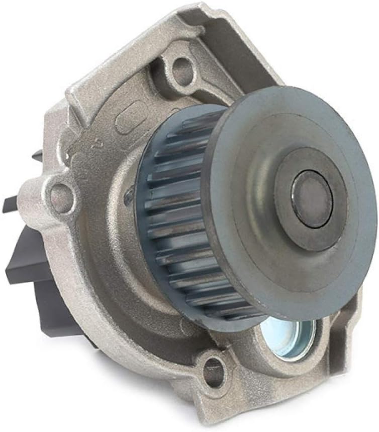 GATES PowerGrip Kit + Wasserpumpe KP15503XS-2