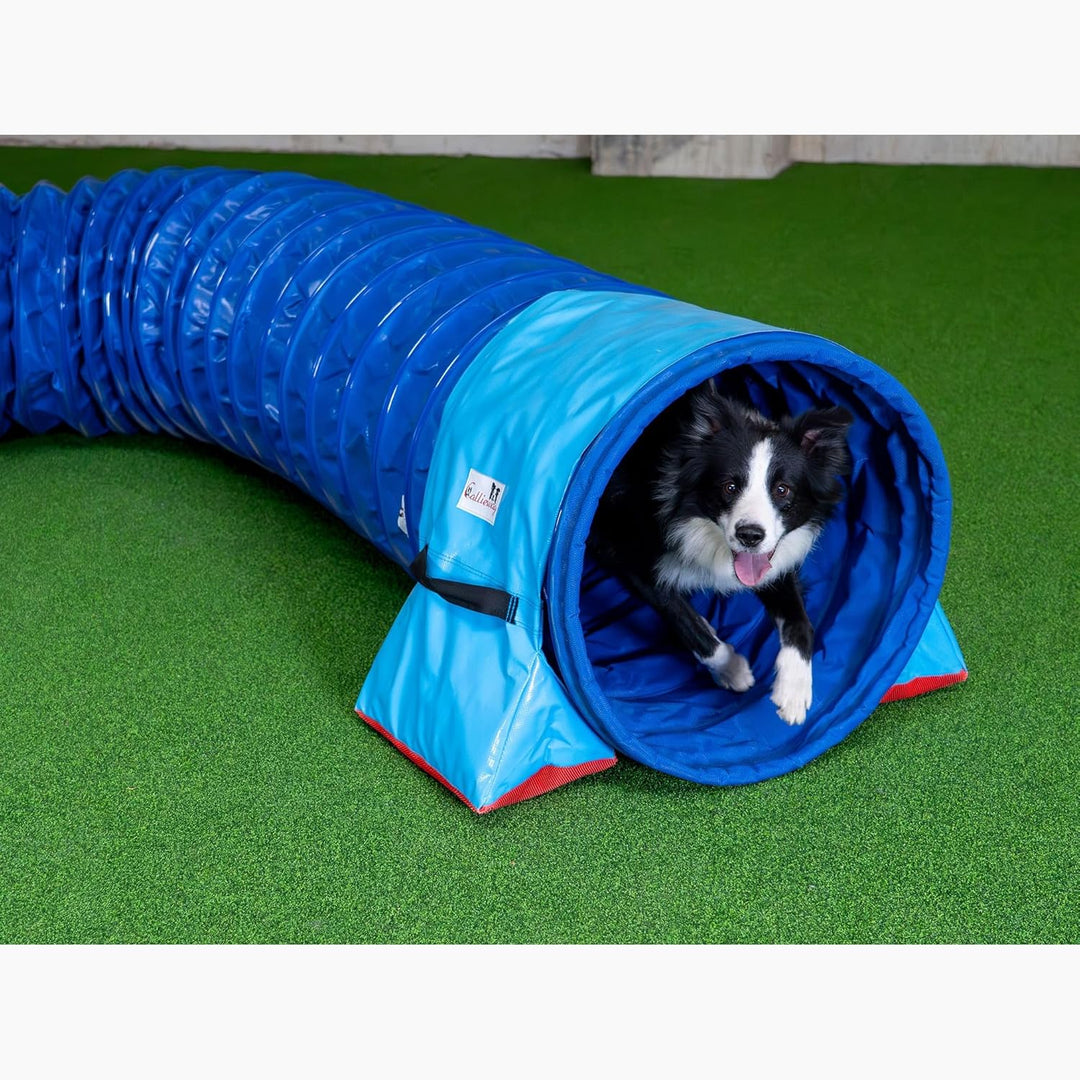 Callieway® Dog Agility Tunnel Turnier 60cmØ, 360° FullGrip (6m, blau/Blue) 6m blau/blue, 6m blau/blu