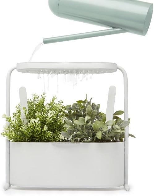 Umbra Giardino Pflanzbehälter und Kräutertopf mit integriertem Wasserablauf – Kräutergarten-Set mit