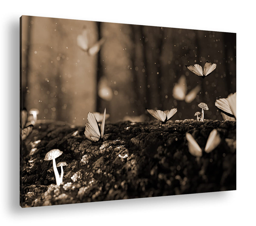 deyoli Schmetterlingschwarm im düsterem Wald Format: 80x60 Effekt: Sepia als Leinwandbild, Motiv fer