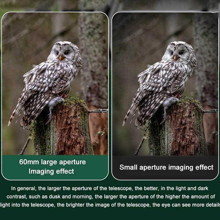 25-75X60ED Monokular Zoom Teleskop mit BAK4 Prisma FMC Fernrohr Erwachsene with Adapter and Tripod T