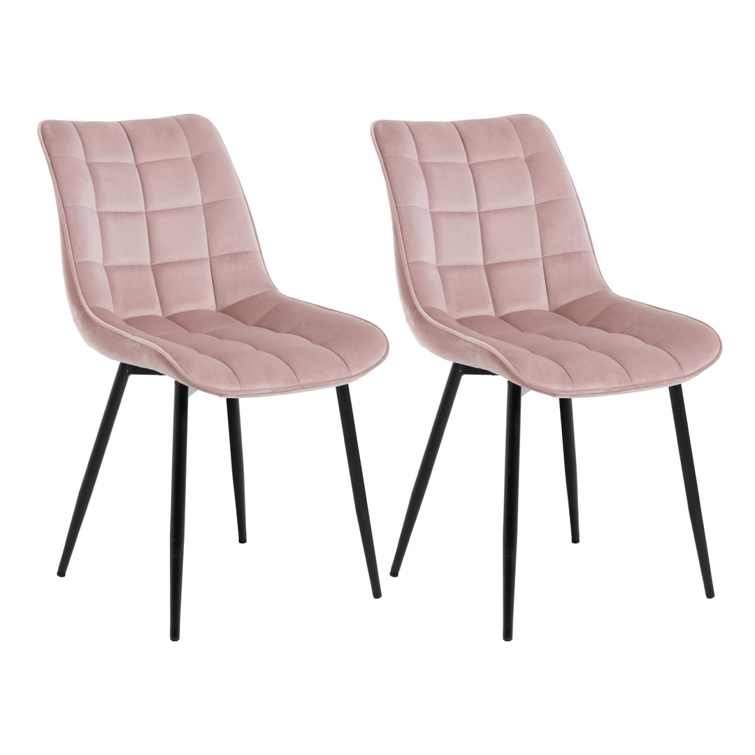 WOLTU Esszimmerstühle 2er Set, für Wohnzimmer Küche Esszimmer, Küchenstühle gepolstert mit Rückenleh