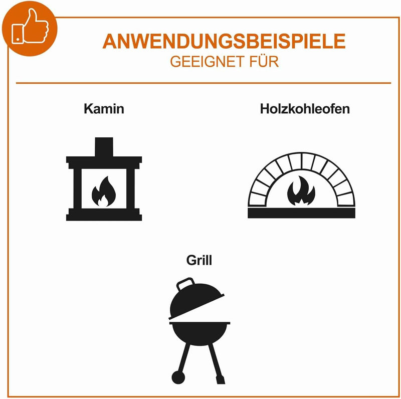 IXES Aschesauger IX-AS20 mit Filterreinigungsfunktion Russ Staubsauger Kaminsauger Aschestaubsauger