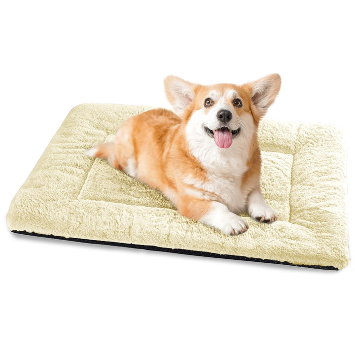 Baodan Hundebett Mittelgrosse Kleine Hunde, Hundekissen Waschbar für kleine mittelgrosse Hunde, Dog