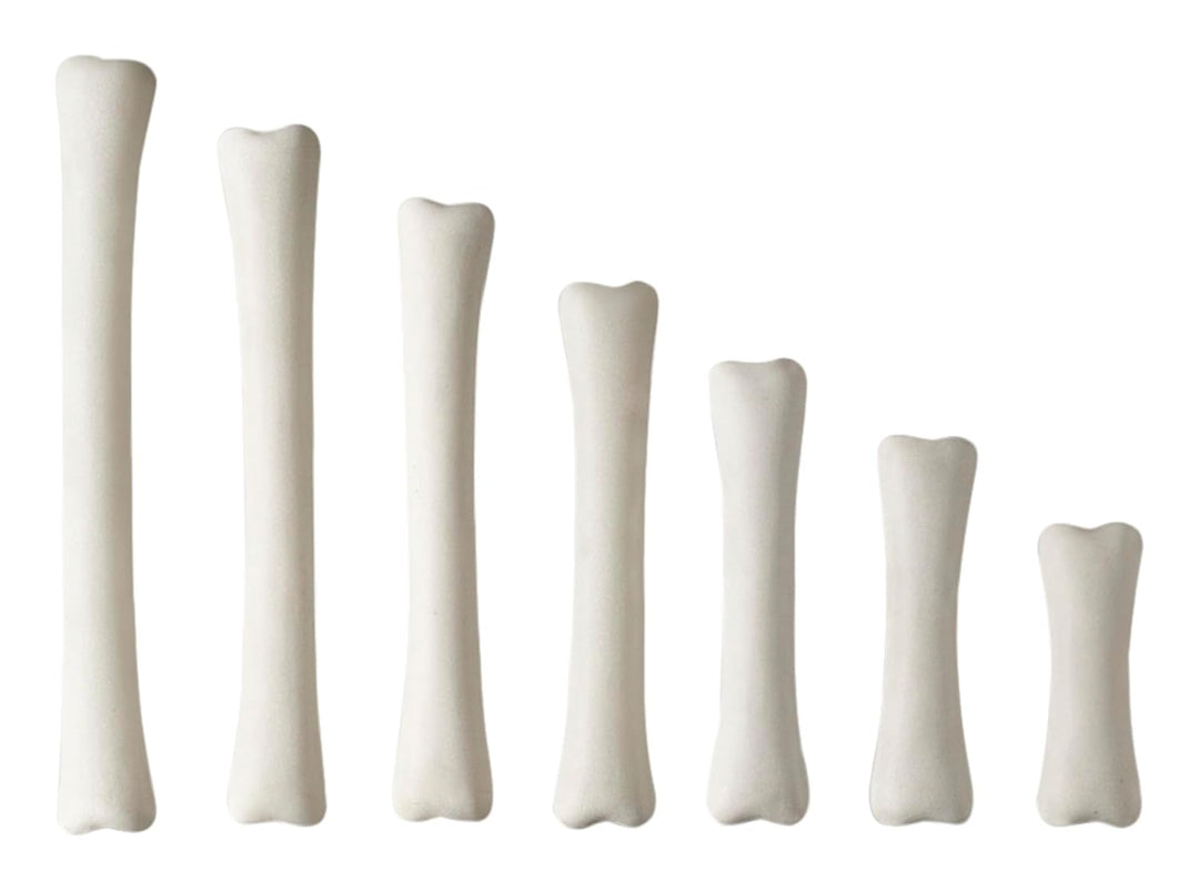 Yellow Door YUS1033 Dinosaurier-Knochen-Set, Misch- und Mess-Set