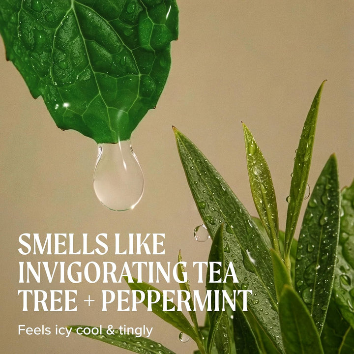 Paul Mitchell Tea Tree Special Conditioner - Haar-Pflege Conditioner für sofortige Kämmbarkeit, revi