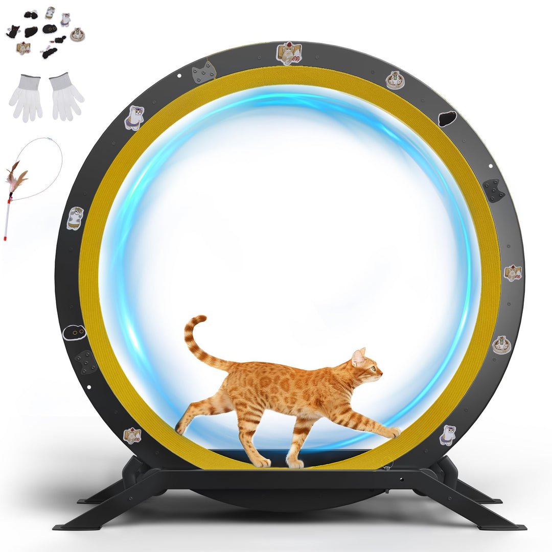 GTPLAYER Katzenlaufrad, laufrad Katze, Extra grosser 100 cm, ultraleises Laufrad mit Abnehmbarer Tep