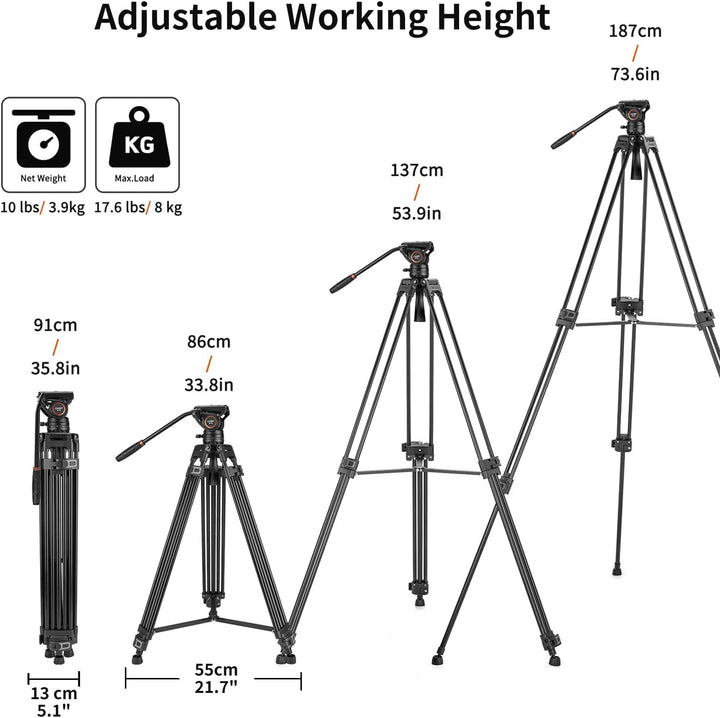 Cayer BF30L Video-Stativ mit Fluid-Kopf, 73" Heavy Duty Stativ mit 360 Grad Fluid-Kopf und Schnellwe