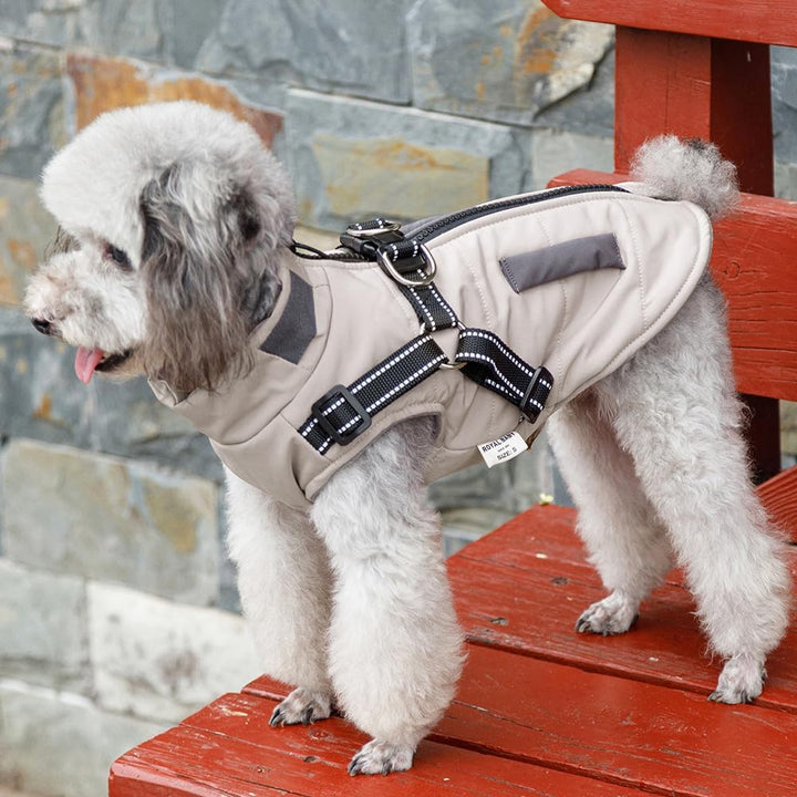 Hunde Winterjacken,Warme Hundemäntel Reflektierend Hundekleidung wasserdichte Welpenweste für kaltes