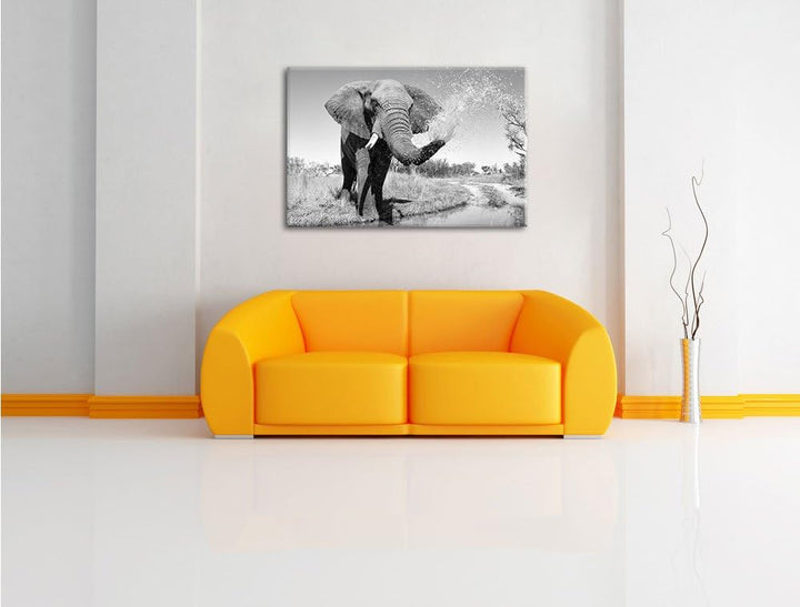 Pixxprint schöner Elefant spritzt mit Wasser Kunst B&W, Format: 100x70 auf Leinwand, XXL riesige Bil