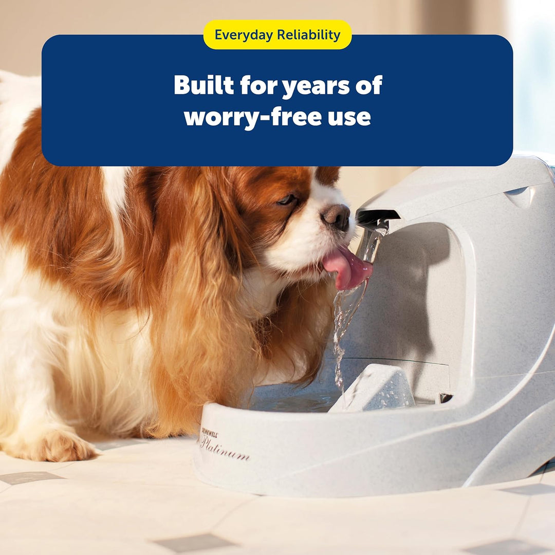PetSafe Healthy Pet Simply Feed Netzadapter, für gesundes Haustier, einfach füttern, für Hunde und K