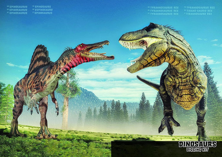 Grosses 2in1 Dinosaurier Ausgrabungsset mit Werkzeug Spinosaurus und Tyrannosaurus Rex in schwerem S