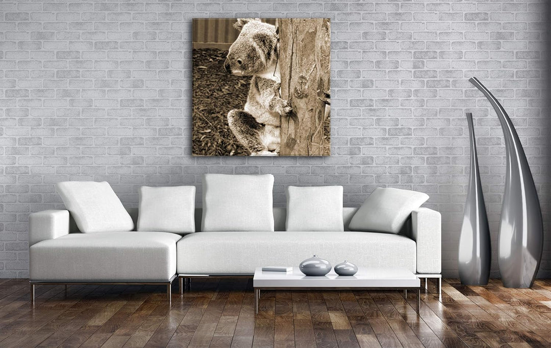 deyoli niedlicher Koala in Australien Format: 70x70 Effekt: Sepia als Leinwandbild, Motiv auf Echtho