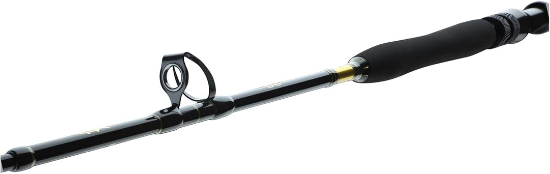 DAIWA BG Big Game 1,68 m 5,50 Ft 3 Teile Progressive Action Big Game Salzwasser Angelrute 5.50 Ft /