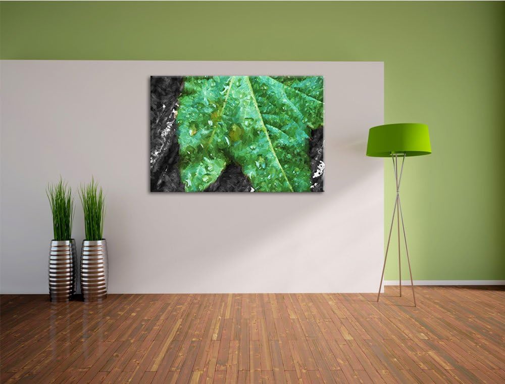 viele kleine Regentropfen auf Blatt schwarz/weiss Deluxe Format: 100x70 cm auf Leinwand, XXL riesige