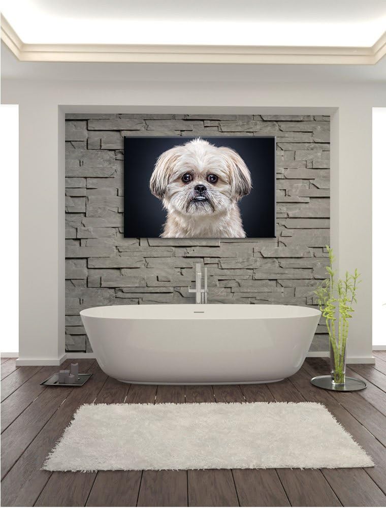 lustiger kleiner Hund, Format: 100x70 auf Leinwand, XXL riesige Bilder fertig gerahmt mit Keilrahmen