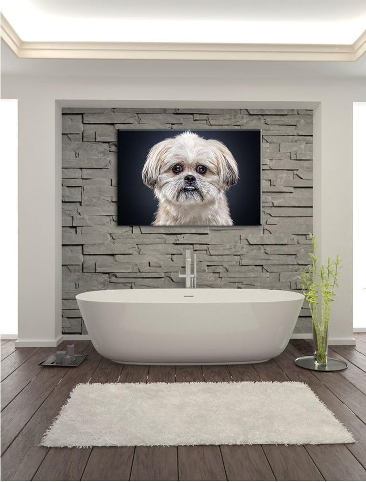 lustiger kleiner Hund, Format: 100x70 auf Leinwand, XXL riesige Bilder fertig gerahmt mit Keilrahmen