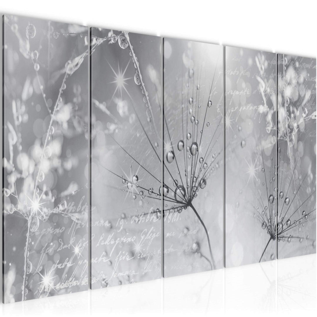 Runa Art Bild Pusteblume Wandbilder auf Vlies Leinwand 5 Teilig Wanddekoration Wohnzimmer Schlafzimm