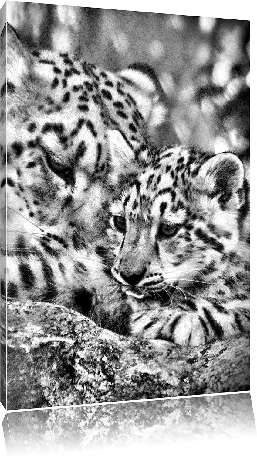 Pixxprint Monocrome, Leopard mit Jungtier, Format: 100x70 auf Leinwand, 100x70