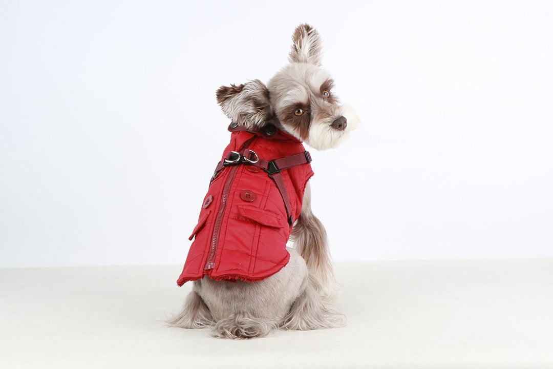 Puppia PAQD-VT1463 Wilkes, Wintermantel, L, rot Rot L Klassisch, Rot L Klassisch