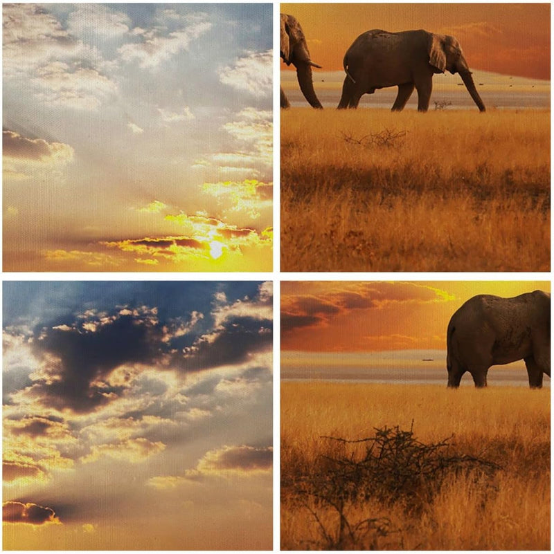 Bilder auf Leinwand 100x70cm Leinwandbild Elefanten Safari Dschungel Busch Gross Wanddeko Bild Schla