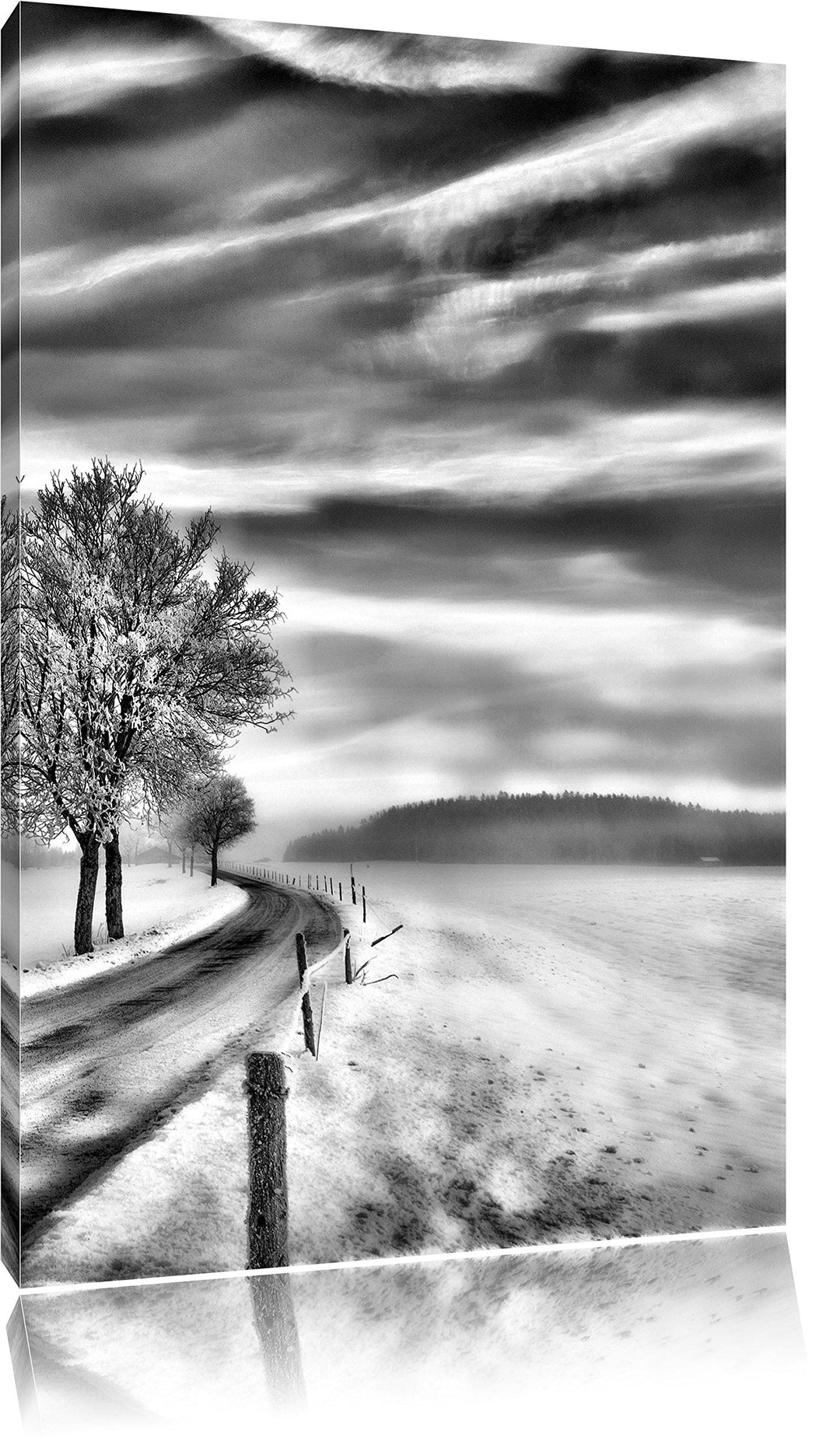 Monocrome, Baum im Schnee, Format: 100x70 auf Leinwand, XXL riesige Bilder fertig gerahmt mit Keilra