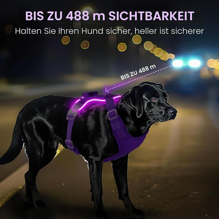 MASBRILL Hundegeschirr Leuchtend, LED Hundegeschirr Aufladbar &amp; Einstellbar für Welpen Kleiner Mittl