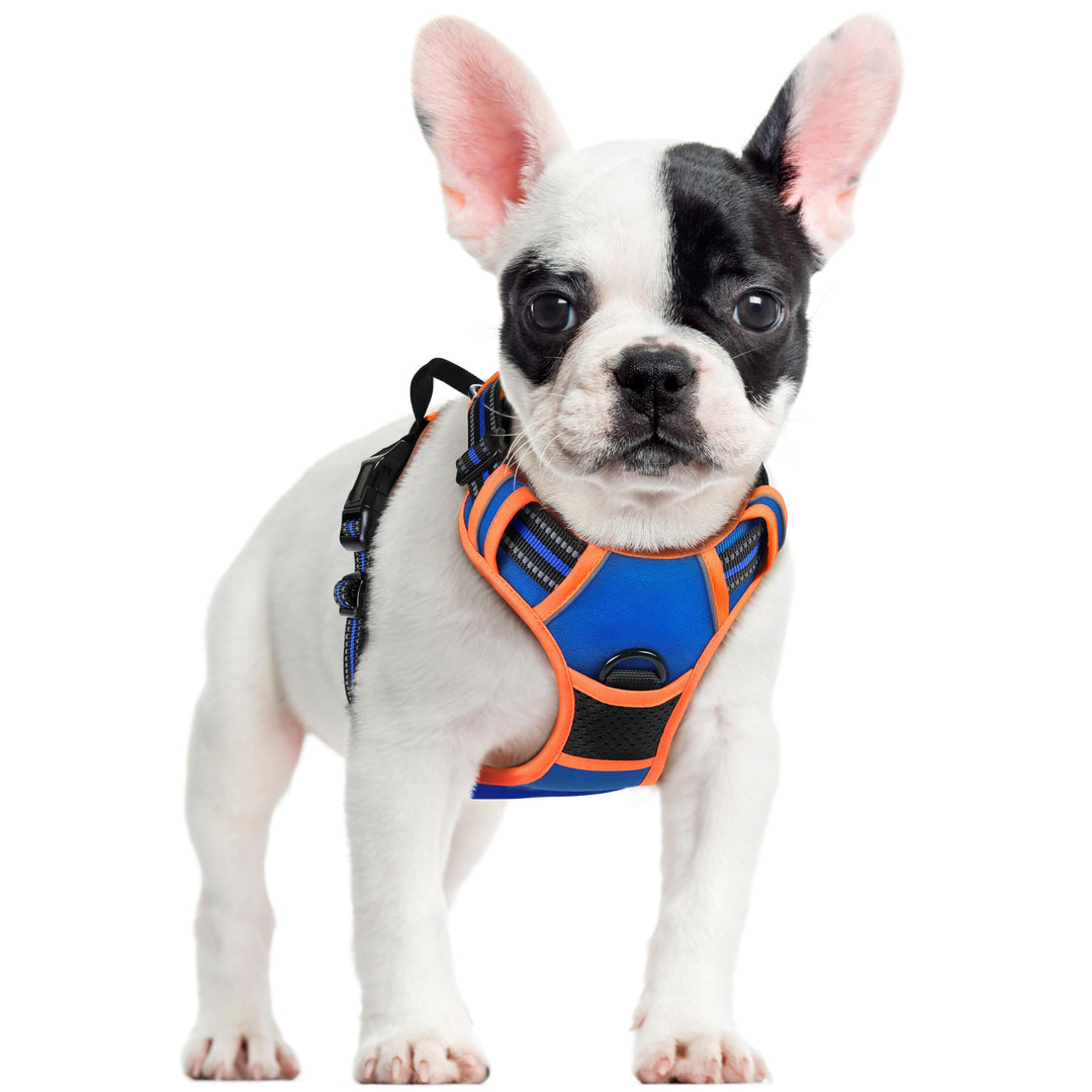 rabbitgoo Hundegeschirr Mittelgrosse Hunde Anti Zug Geschirr Hund mit Kontrolle No Pull Verstellbar